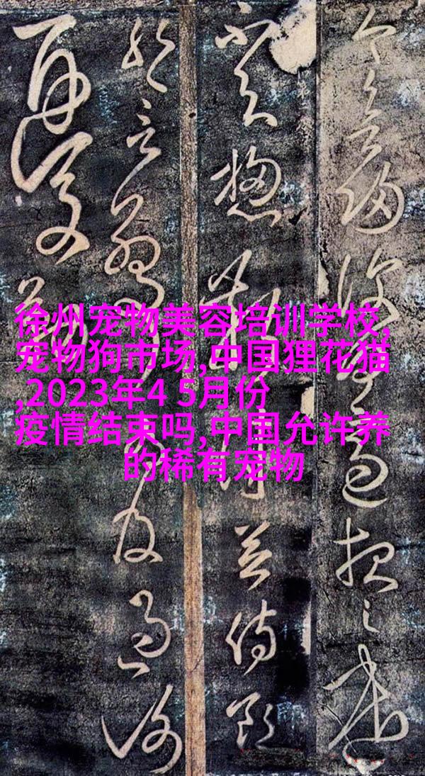 狗头松狮