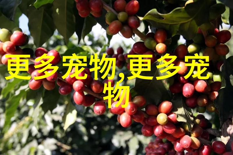 养热带鱼用什么水水质怎么样水温是多少