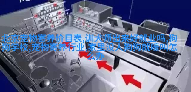澳大利亚牛牧羊dog