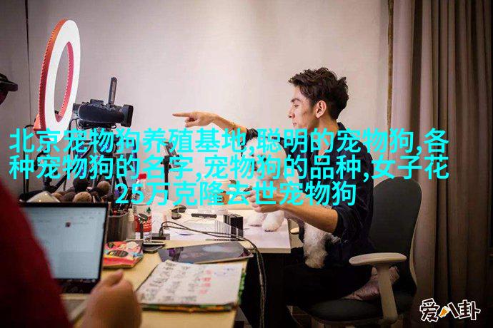 犹他普利姆森鹿豚
