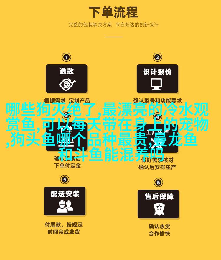 英国短毛