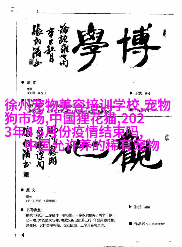 西藏熊猫