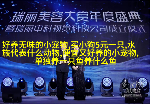 小型雪纳瑞