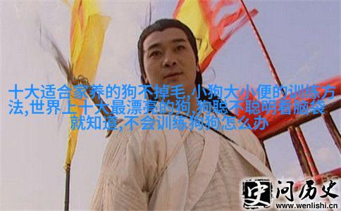小熊猫哈士奇