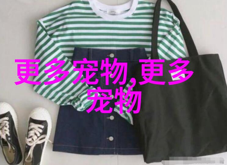 图3: 英國短毛鬥牛隻
