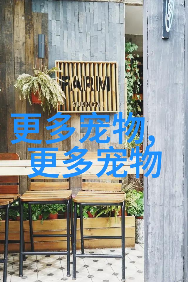 佩科斯基花头狮子狗