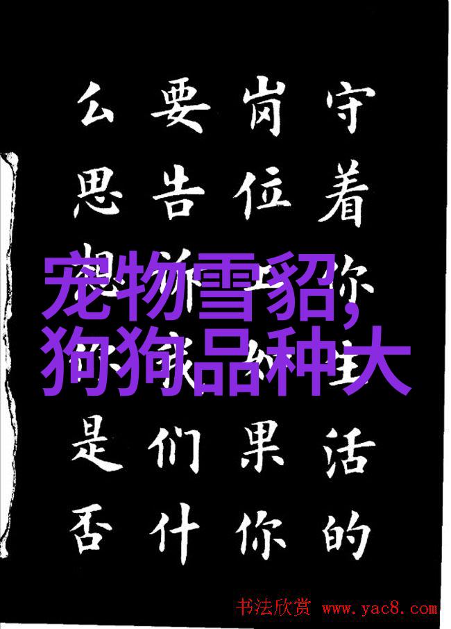 银龙鱼晚上需要开灯吗?不需要