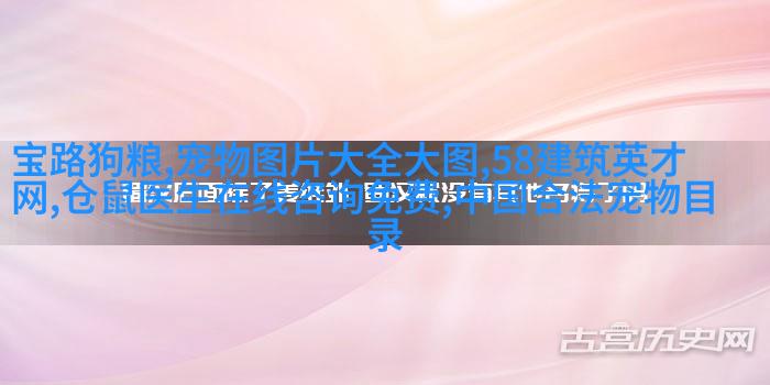 帕金斯