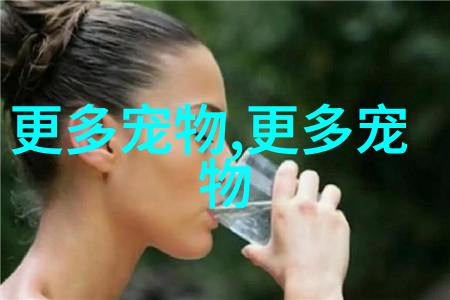 图6: 澳大利亚牧羊dog跳水池