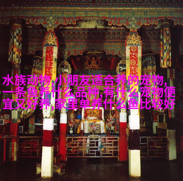 英国短毛