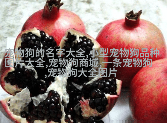哈士奇