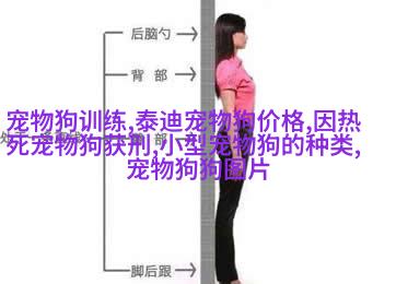图6:活泼可爱的小虎牙