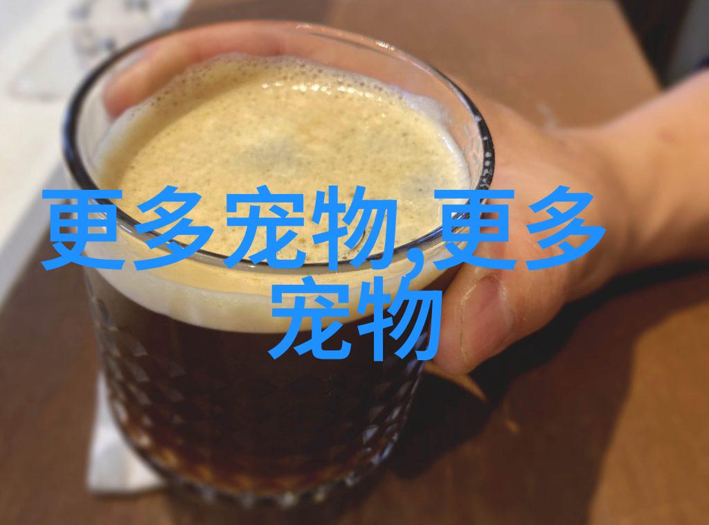  斯芬克斯