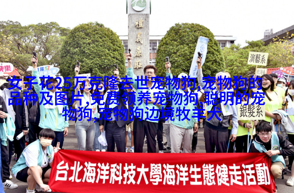 波西米亚蓝色 斐济狐狸
