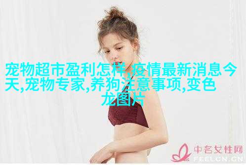 德国牧羊狗