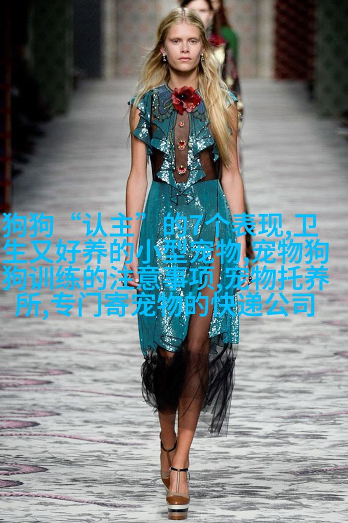 欧洲短毛