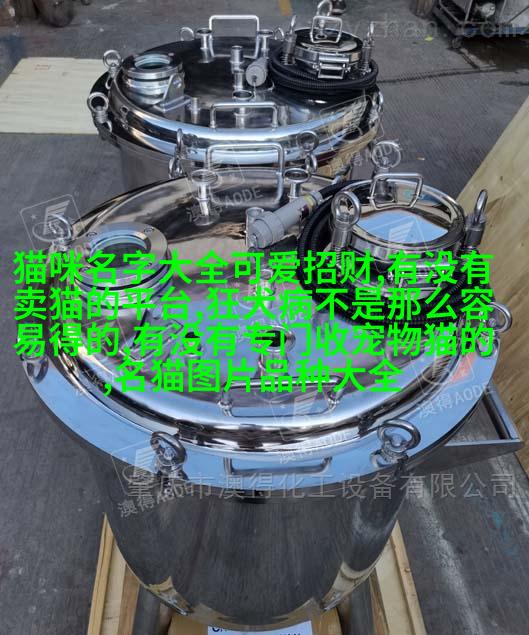 拉布拉多寻回犬