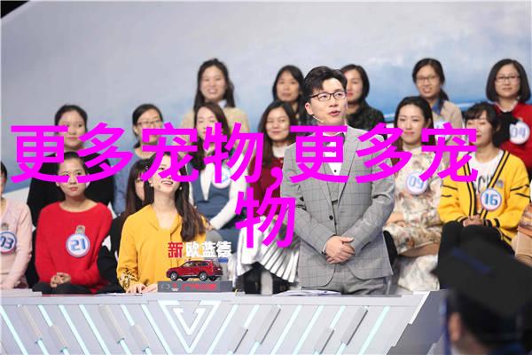 拉布拉多雷ックス