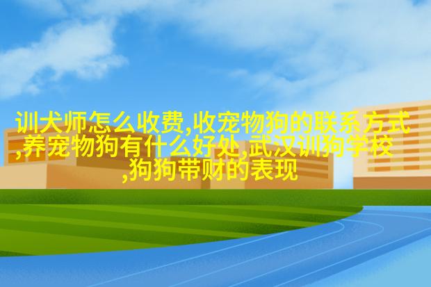 英国缝纫机