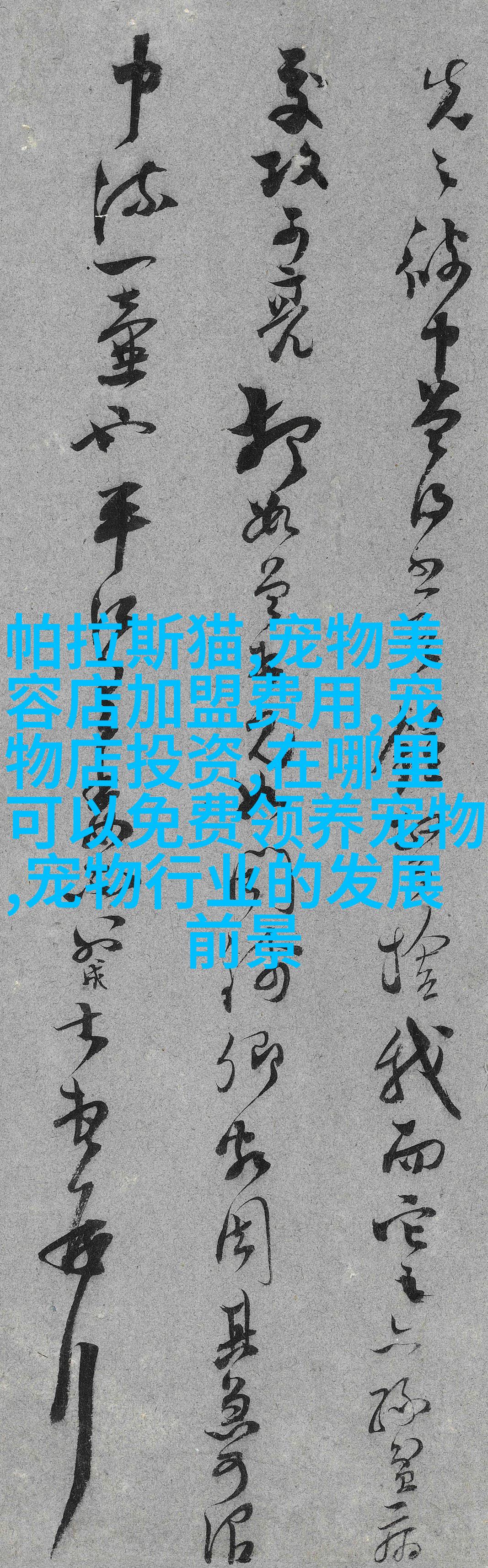 比熊猫獾