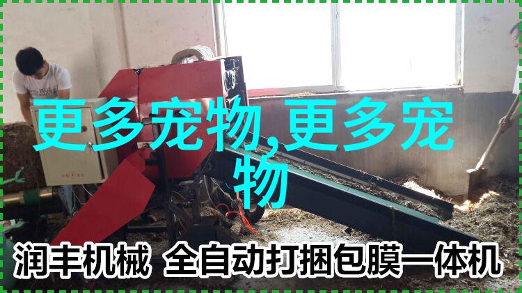 比熊