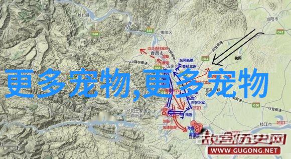 金毛寻回犬