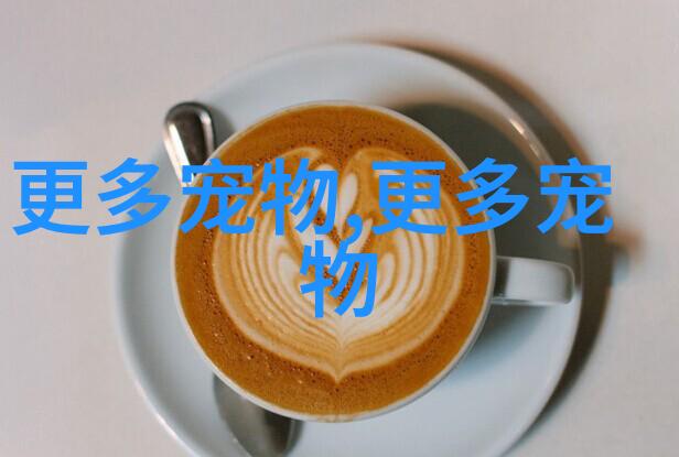 好养的热带鱼