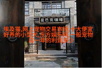 比熊犬