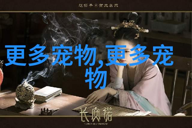 图像描述