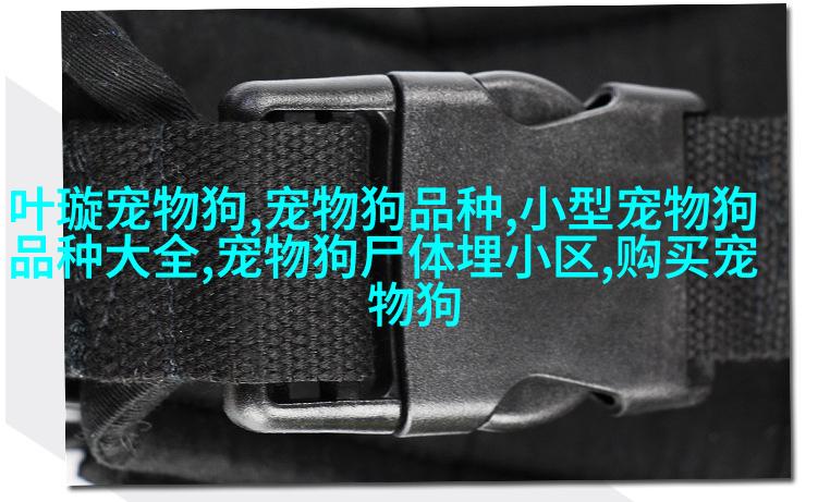 翡翠貂长须鼠鬚獅