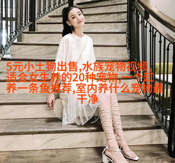 欧洲短毛