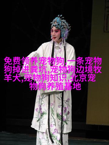 法国斗牛梗