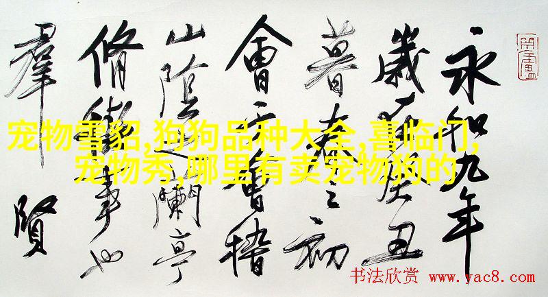 银龙鱼晚上需要开灯吗?不需要