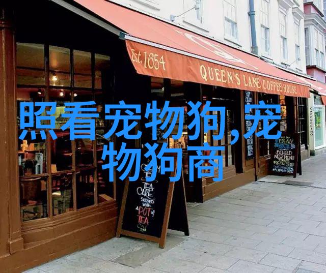 招财猫鱼是热带鱼吗