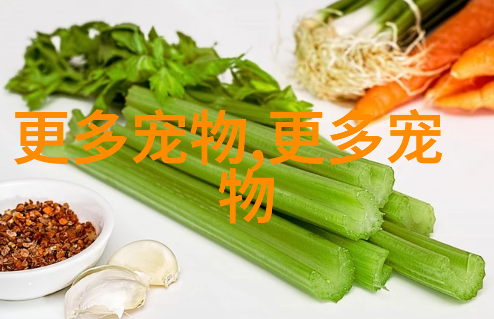 宠品狗