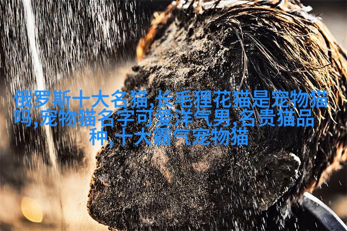 法老之子