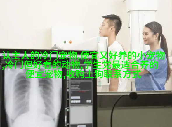 圣伯纳rd