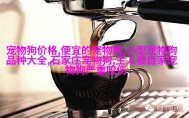 德国牧羊犬