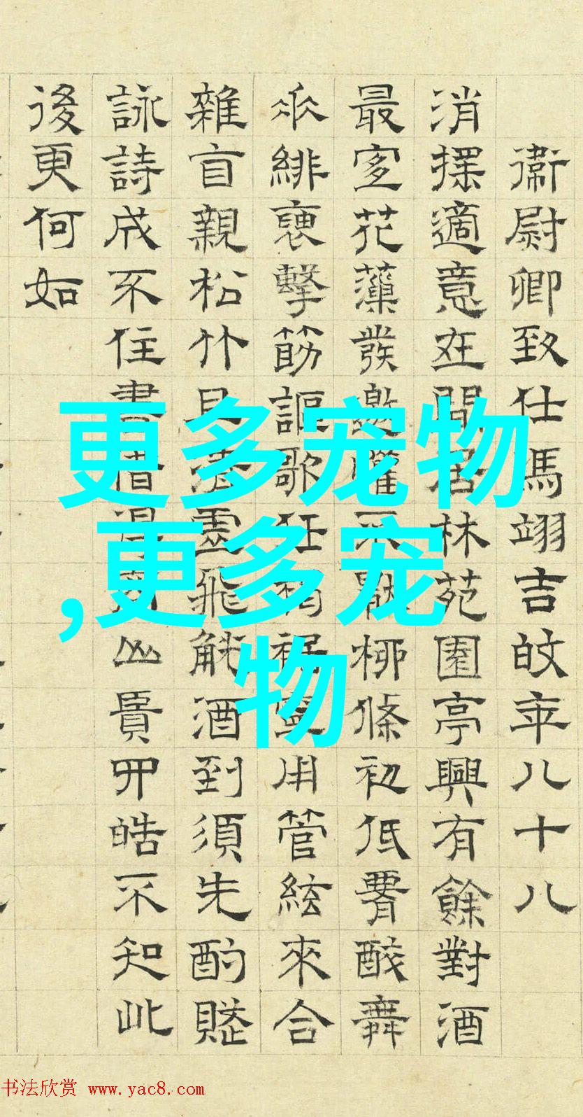 松狮狗