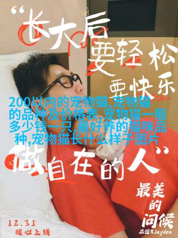 图例