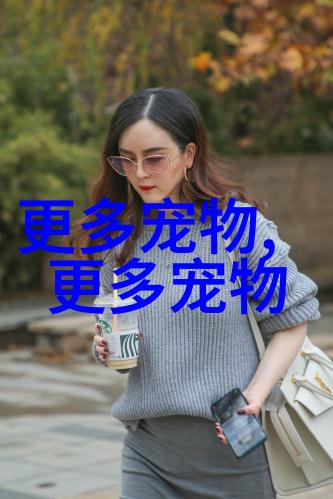 兰寿金鱼好养么什么品种观赏鱼最好养
