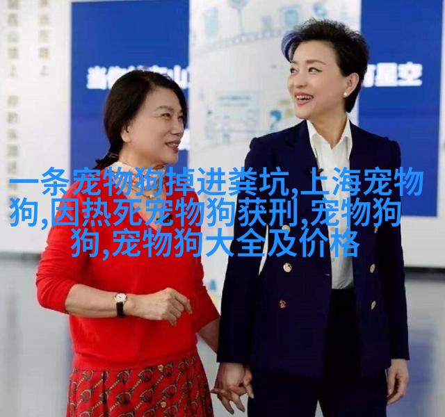 商务会议上的忠犬