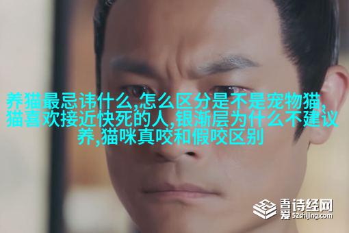 波斯