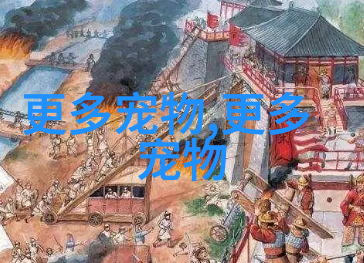 比熊