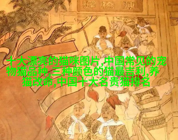 小型雪纳瑞