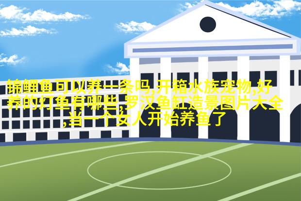 抱着毛绒球