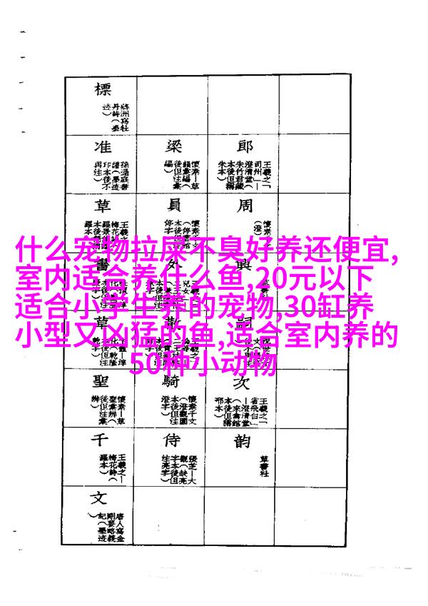 地图鱼怎么养,要注意哪些呢?