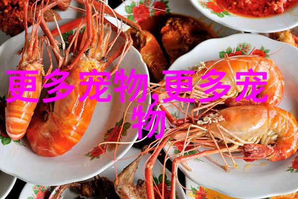 养殖鲶鱼的技术鲶鱼养殖注意事项