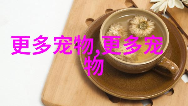 阿比西尼亚 