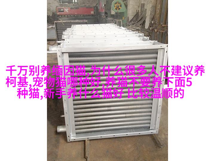 雪纳瑞